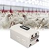 Product Photo 2