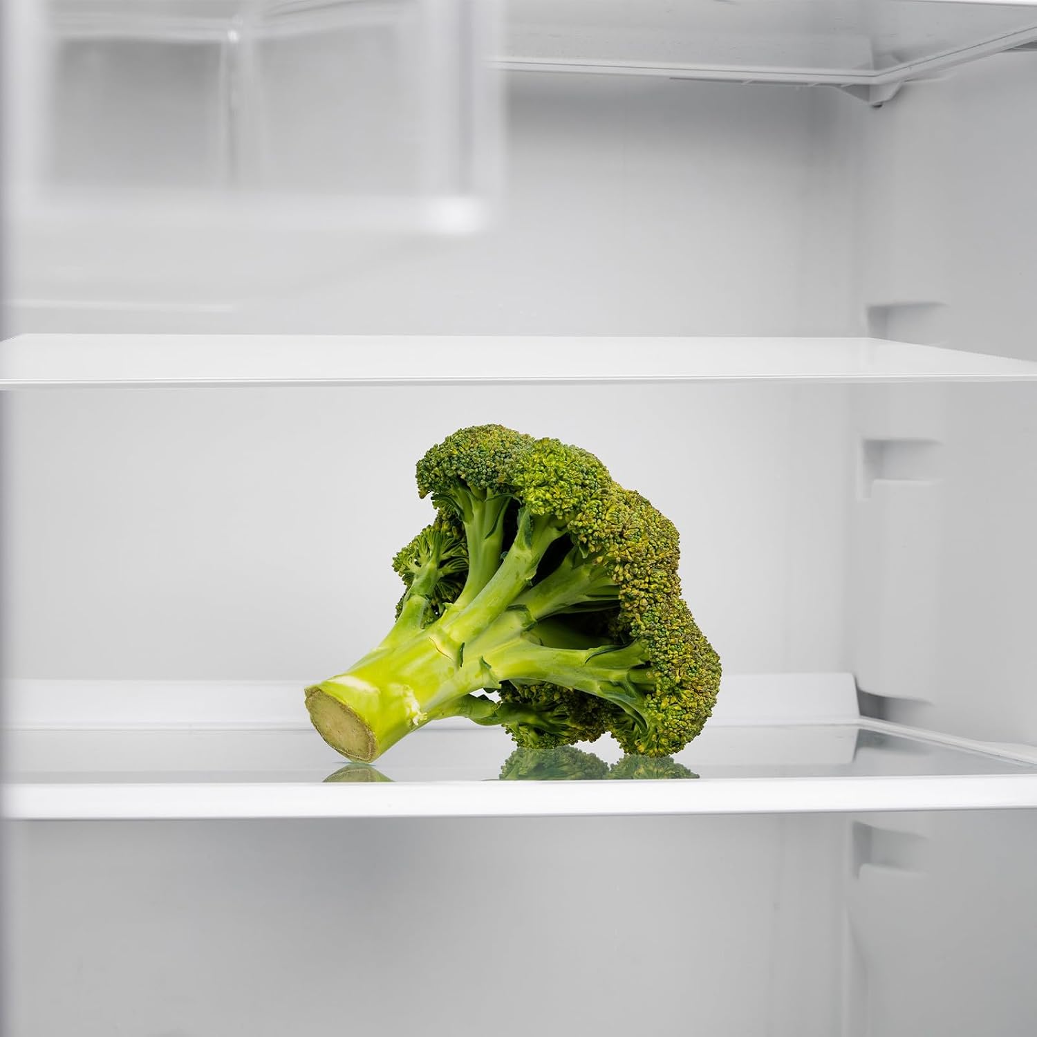 Tempered Glass Refrigerator Divider for Fridge Storage with Simple Structure Design, Easy to Install and Sturdy Glass Partition Board for Organized Kitchen and Crisp Food Storage