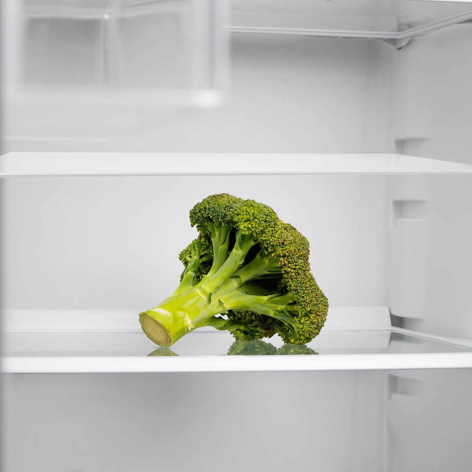 Divisorio Frigo in Vetro Temperato, 1 Pezzo, Separatore Interno