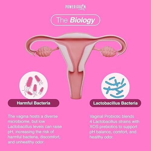 Miniatura 4 de Gomitas de probióticos vaginales prémium  5 mil millones de UFC  Balance de pH y apoyo a la salud vaginal  Prebióticos y enzimas digestivas  Apoya