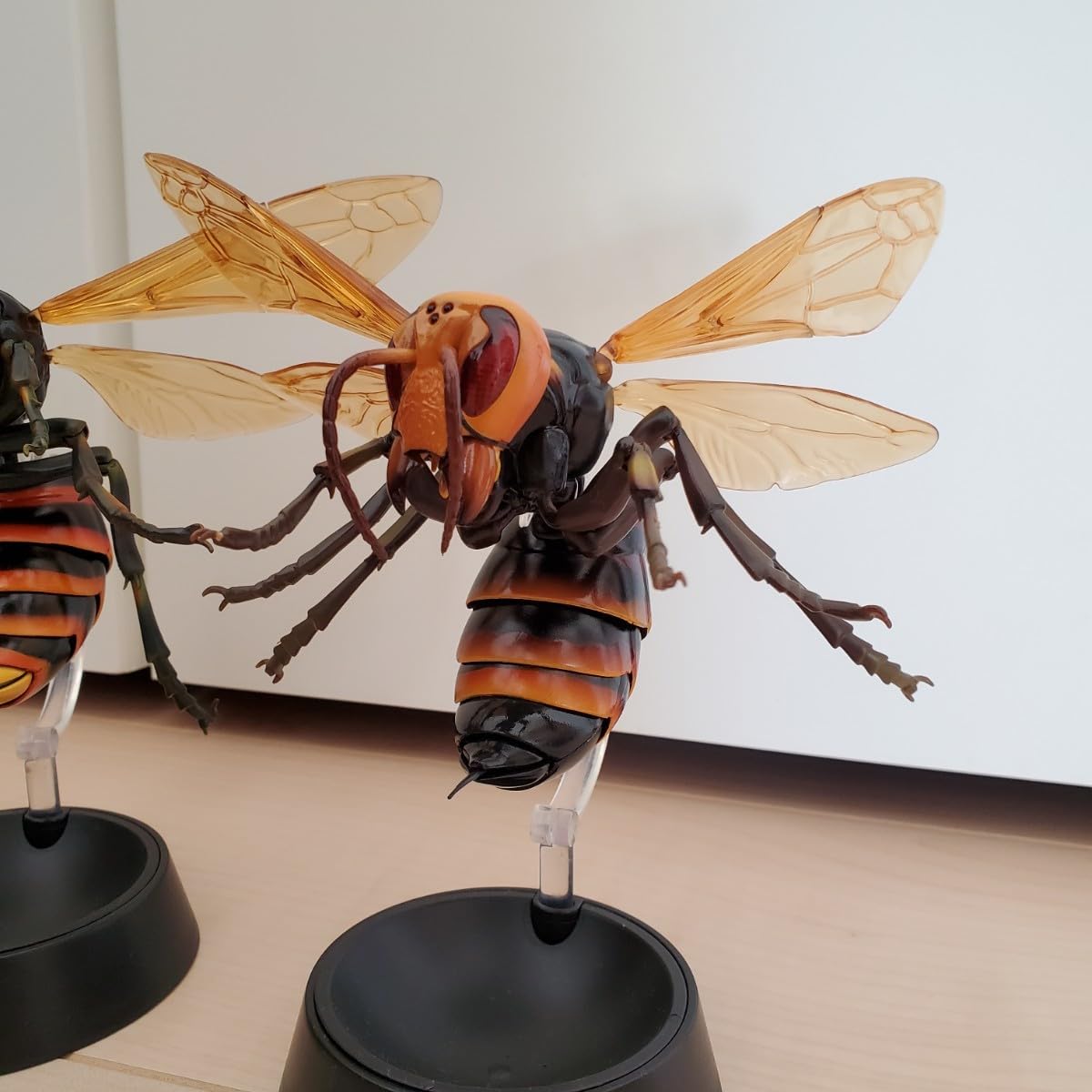 Amazon.co.jp: いきもの大図鑑 アドバンス スズメバチ 全3種