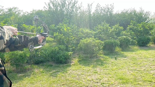 Ensemble de mini arc composé et flèches pour tir à l'arc de 11,3 kg, arc composé à droite et à gauche pour la chasse, le tir, la pêche en plein air