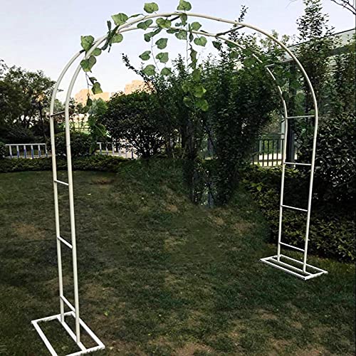 Arche de jardin en métal tuteur plante grimpante décoration extérieure