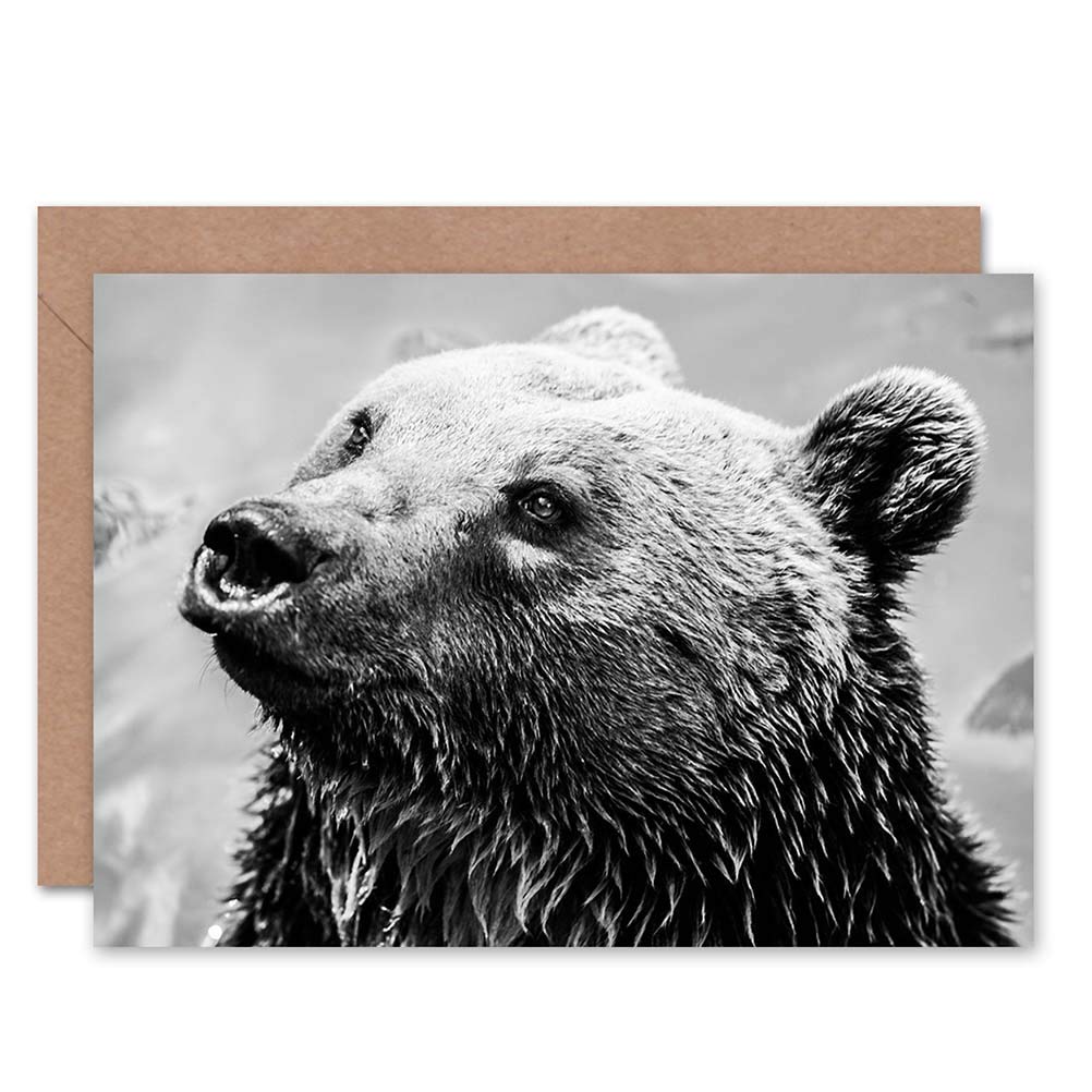 Wee Blue Coo GREETINGS CARD BIRTHDAY GIFT ANIMAL WET BEAR BW