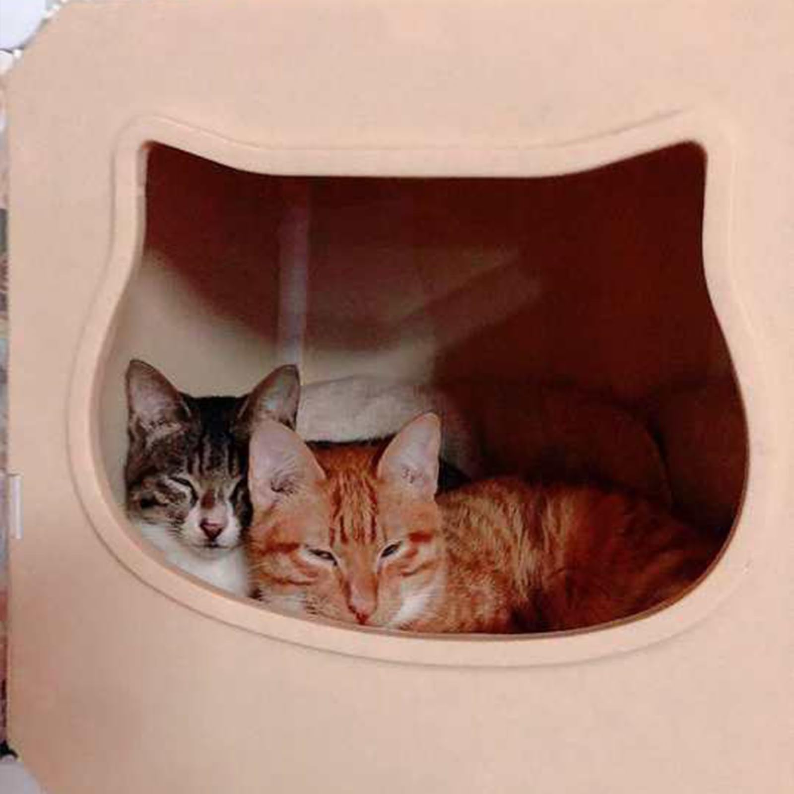 Katzenkäfig für den Innenbereich mit Stauraum oben, halbgeschlossenes Gehege & Loungebett, idealer Laufstall für Kätzchen und Katzen, einfache Selbstmontage