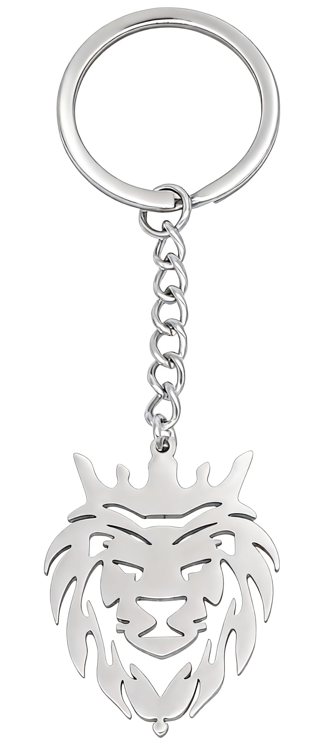 Moydolo Lion Keychain Charms Cute Animal Lion Head Key Chain Ring Gift for Handbags Purse