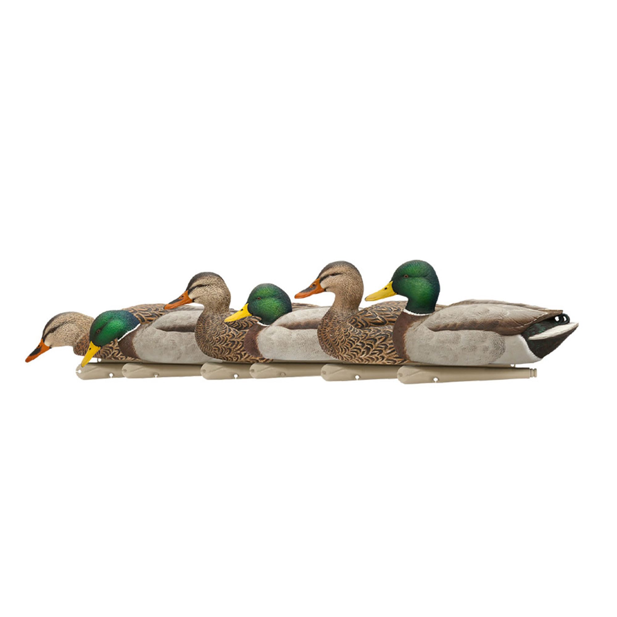 Avian X Topflight Floating Fusion Mallards with Rugged Design and True to Life Postures for Hunting Purposes, Outdoor Sports, and Recreation, 6 Pack