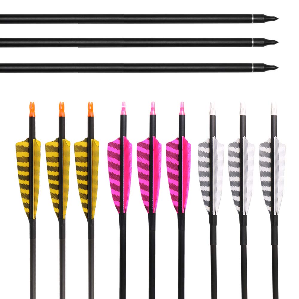 Obert 12pcs 31 Inch Archery Carbon Arrows 600 Spine with 4