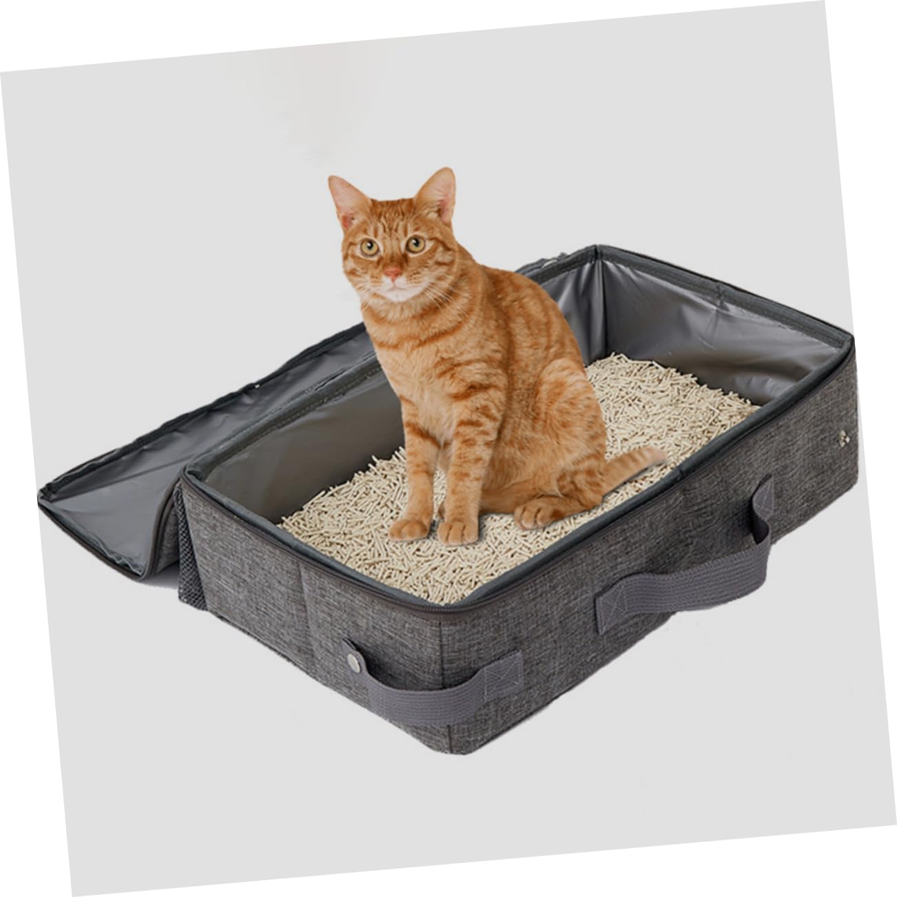 COLLBATH Caja Caja De Arena Plegable Para Gatos Arena Plegable De Viaje Bandeja Para Perros Más Pequeños Pala Para Arena Para Gatos Contenedores Plegables Suministros Para Gatos Tela Oxford