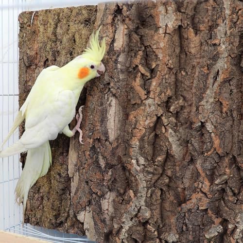 Image of 2 Pack 22 x 14 Inch 100% Natural Cork Perch, Bird Cork Seat Boards, Birdcage Bark Decor Accessories Toy for Birds Parakeets Budgie Parrot Cockatiel Hamster Guinea Pig Rat