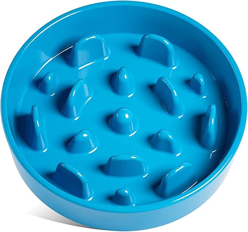 Vista 19 de LE TAUCI Cuencos de cerámica para perros de alimentación lenta, elevados para razas pequeñas, 6 pulgadas, azul, antideslizantes Vortex Blue+Soporte