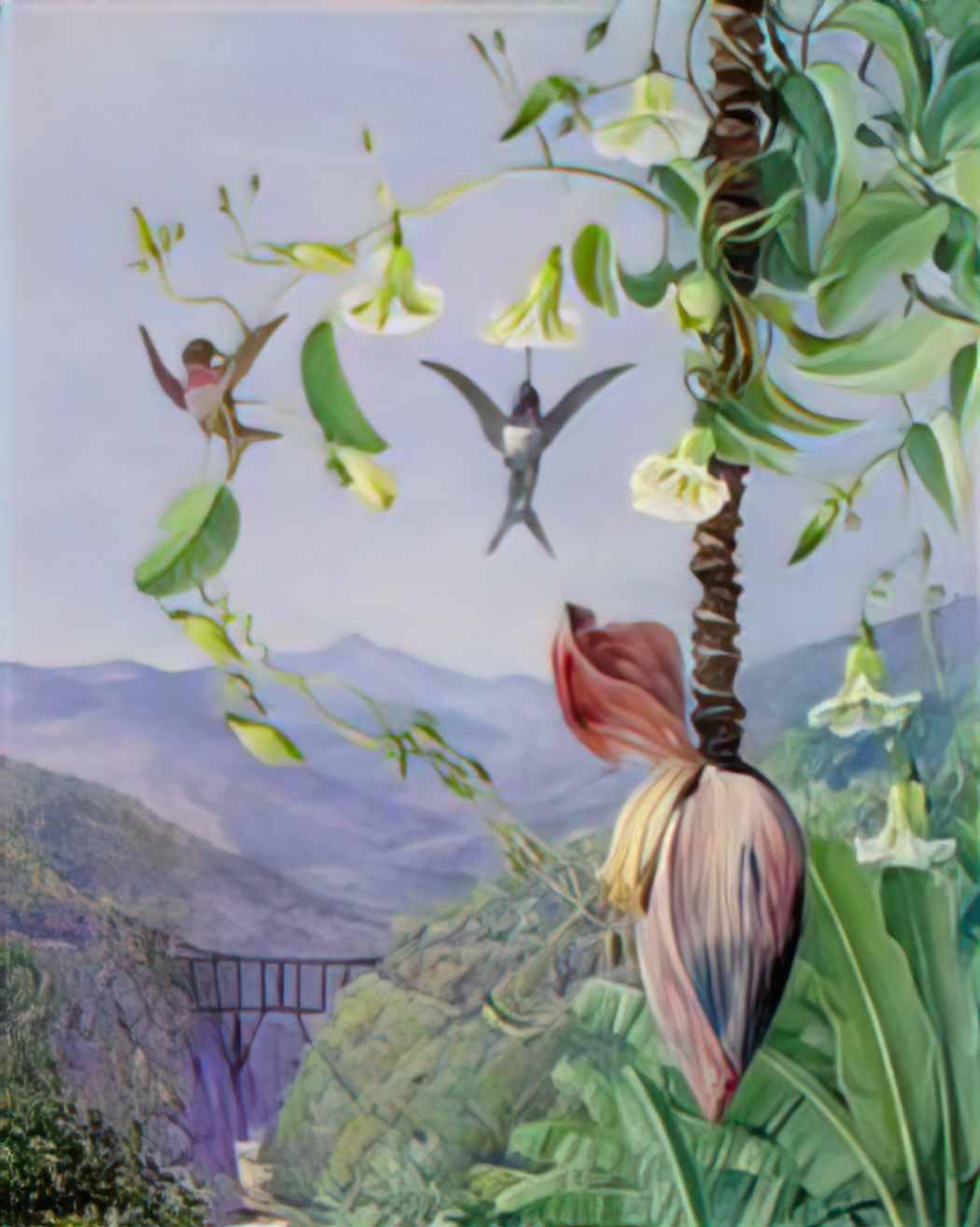 Marianne North photo A4 the aqueduct of morro velho brazil 1873