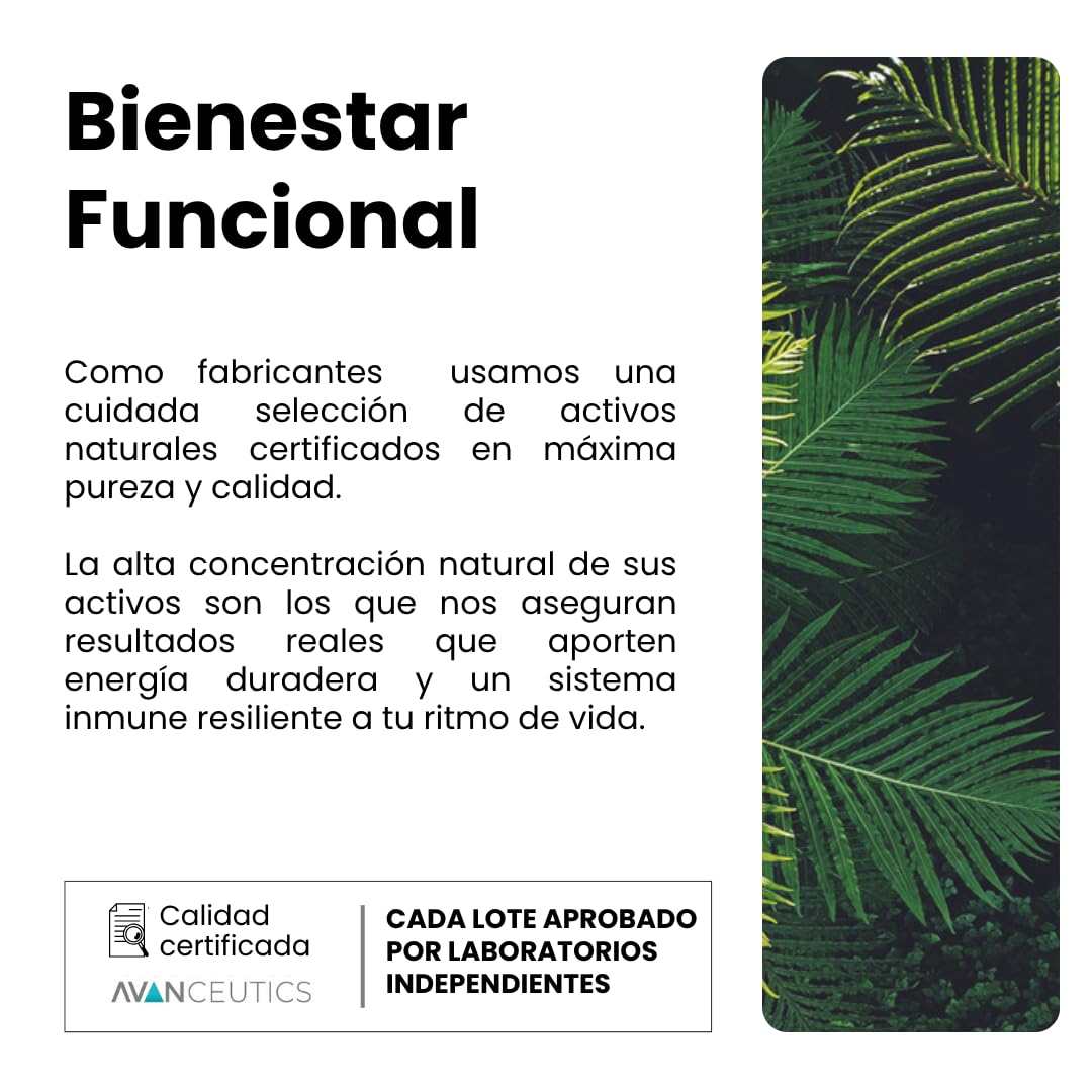 InmunoUp | Vitaminas para el Cansancio y Sistema Inmune Activo | Jalea Real + Propolis Puro + Shiitake + Equinacea Capsulas | Vitaminas Sistema Inmunologico Defensas Inmunitarias Adultos