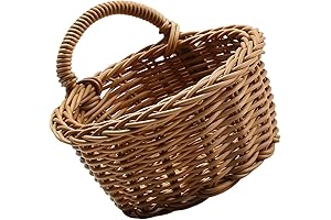 Rattan Wall Hanging Planter for Indoor Plants