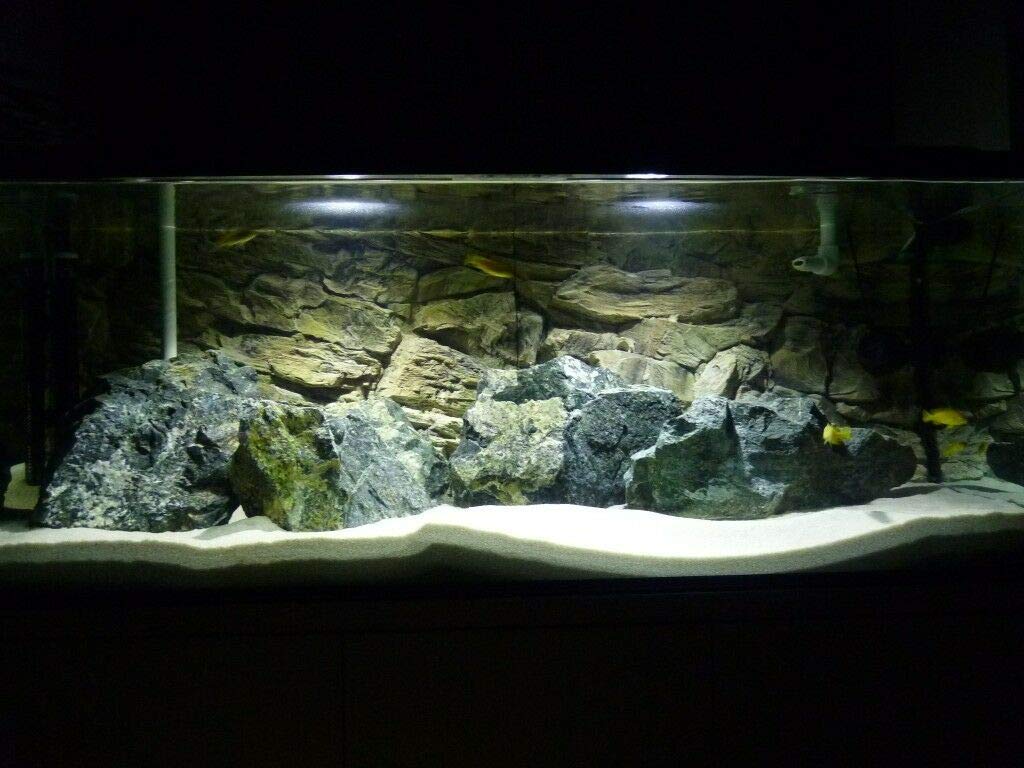 View 6