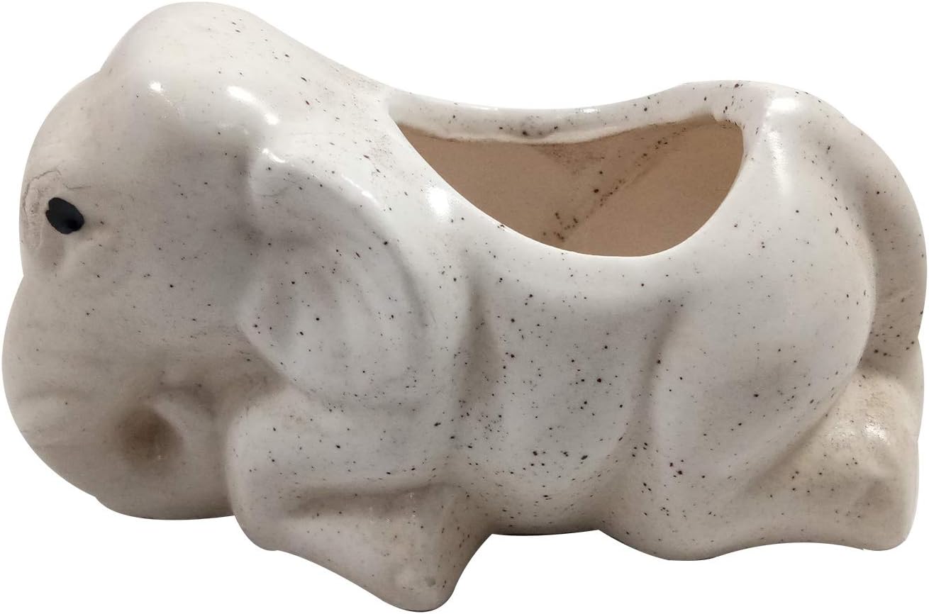 Handicraft Ceramic Flower Pots Ceramic Planter Plant Pots Indoor Outdoor Planter, Best Gifting, Made by Awarded Indian Artisans