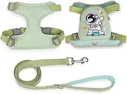 Peitoral Coleira Com Guia e Bolsa Removível Para Cachorro Pet Cães Pequenos E Médios Gato De Viagem(Verde,M)