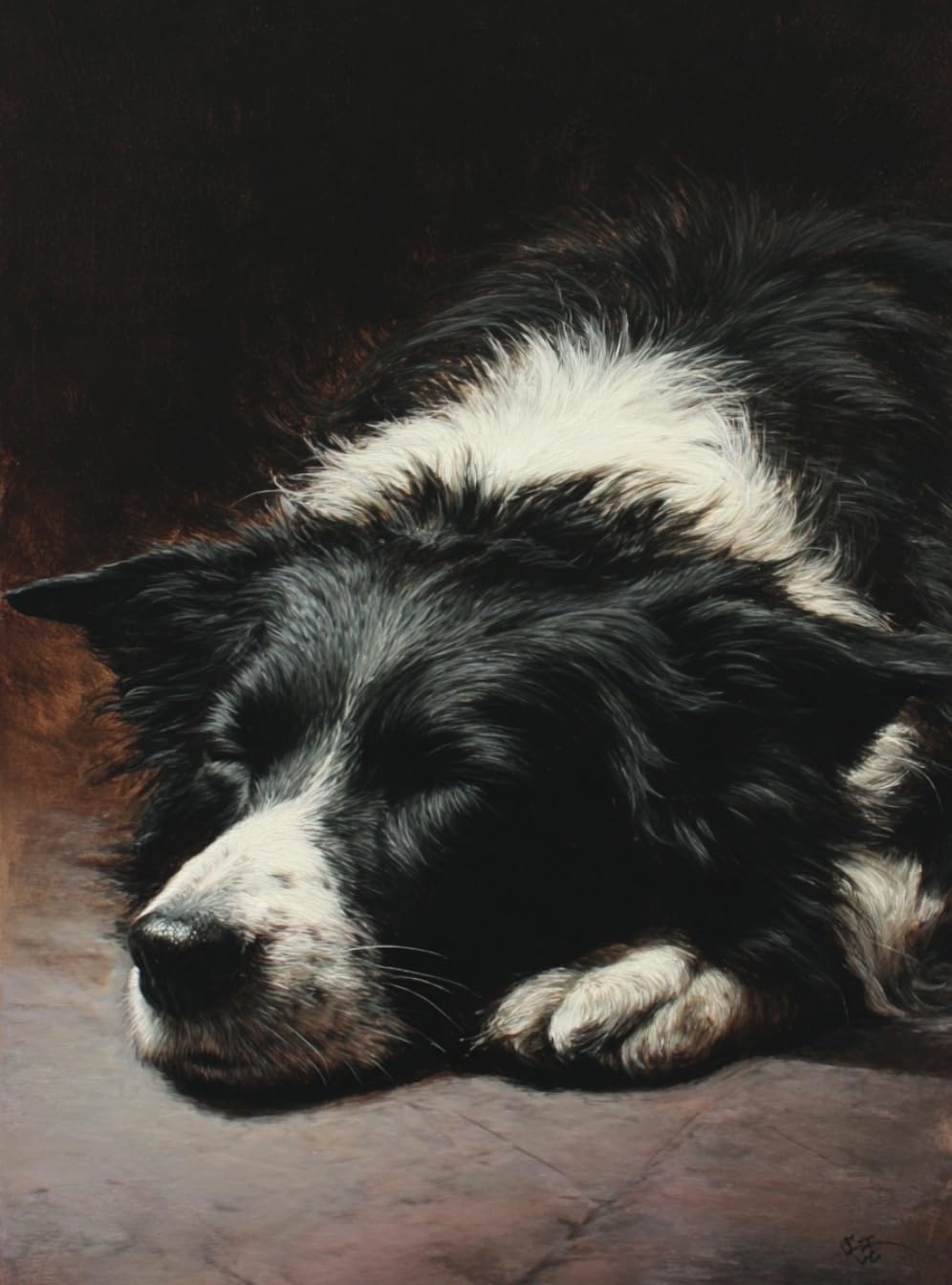 WANGWANGMIAO Paint by Numbers for Adults Beginner,Border Collie Resting Quietly Painting by Number Kits On Canvas,DIY Color Oil Painting Acrylic Paints,Home Wall Decor 40x50cm/16x20in，with Frame