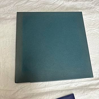 【美品】三段重箱 牡丹沈金 越前漆器 越前塗り 和食器 漆塗り お正月 天然木 Amazon.co.jp: 三段重箱 牡丹沈金 6.5寸 3段 越前漆器 越前塗り