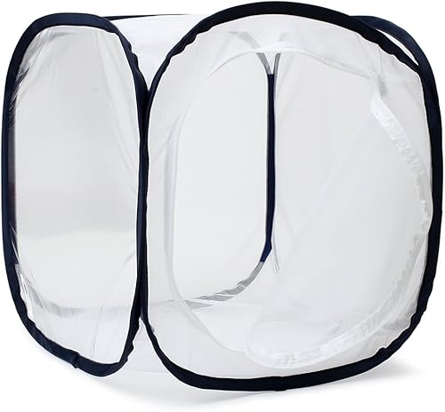 Miniatura 18 de RESTCLOUD - Jaula de hábitat para insectos y mariposas, 23.6 pulgadas de alto Blanco con verde