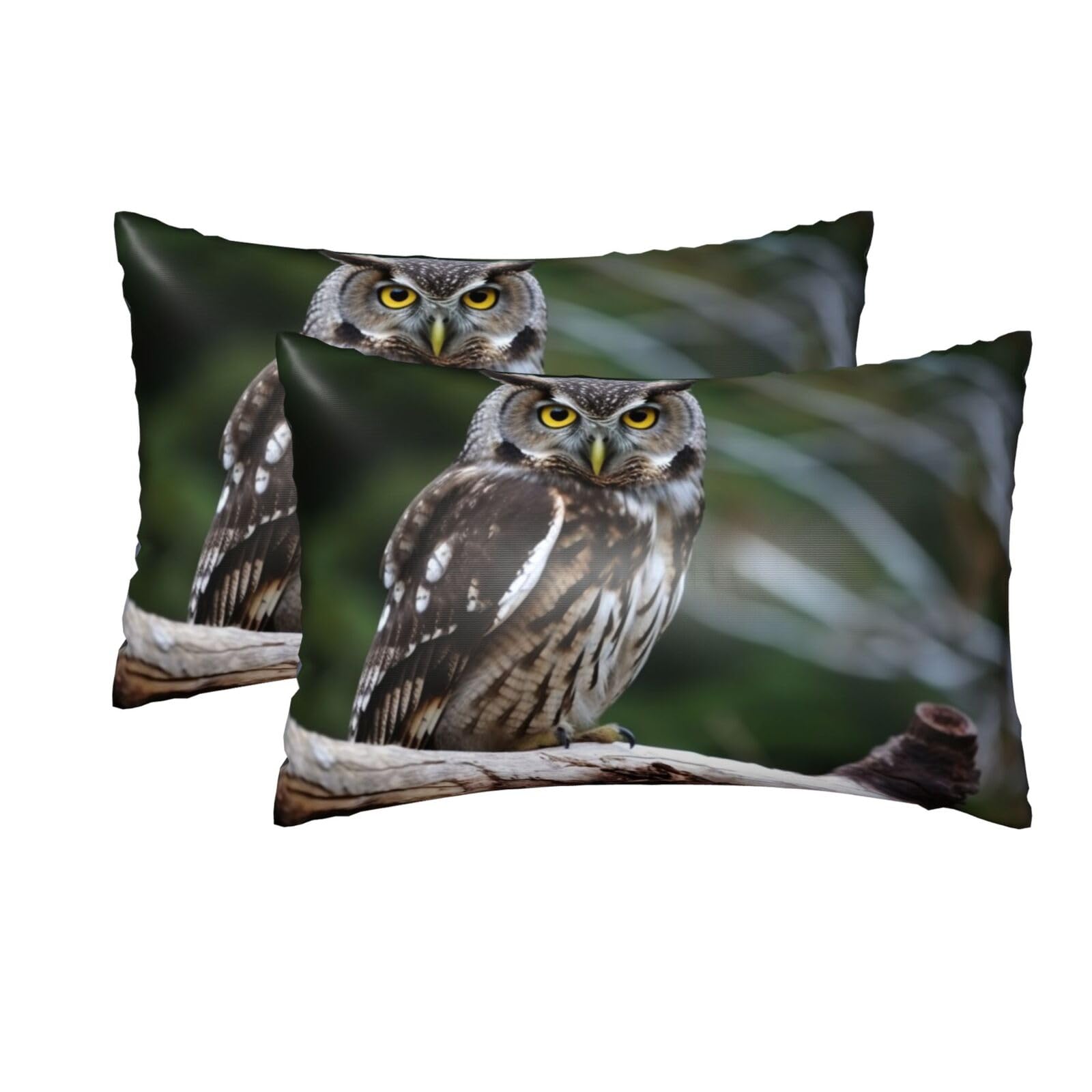 2 Pack Queen Silk Pillow Cases with Hidden Zipper, Luxury Soft Satin Pillow Covers for Hair and Skin, Wild Owl Birds Pillowcases 20"x30" Bed Pillow Protectors Cover for Sleeping Gifts