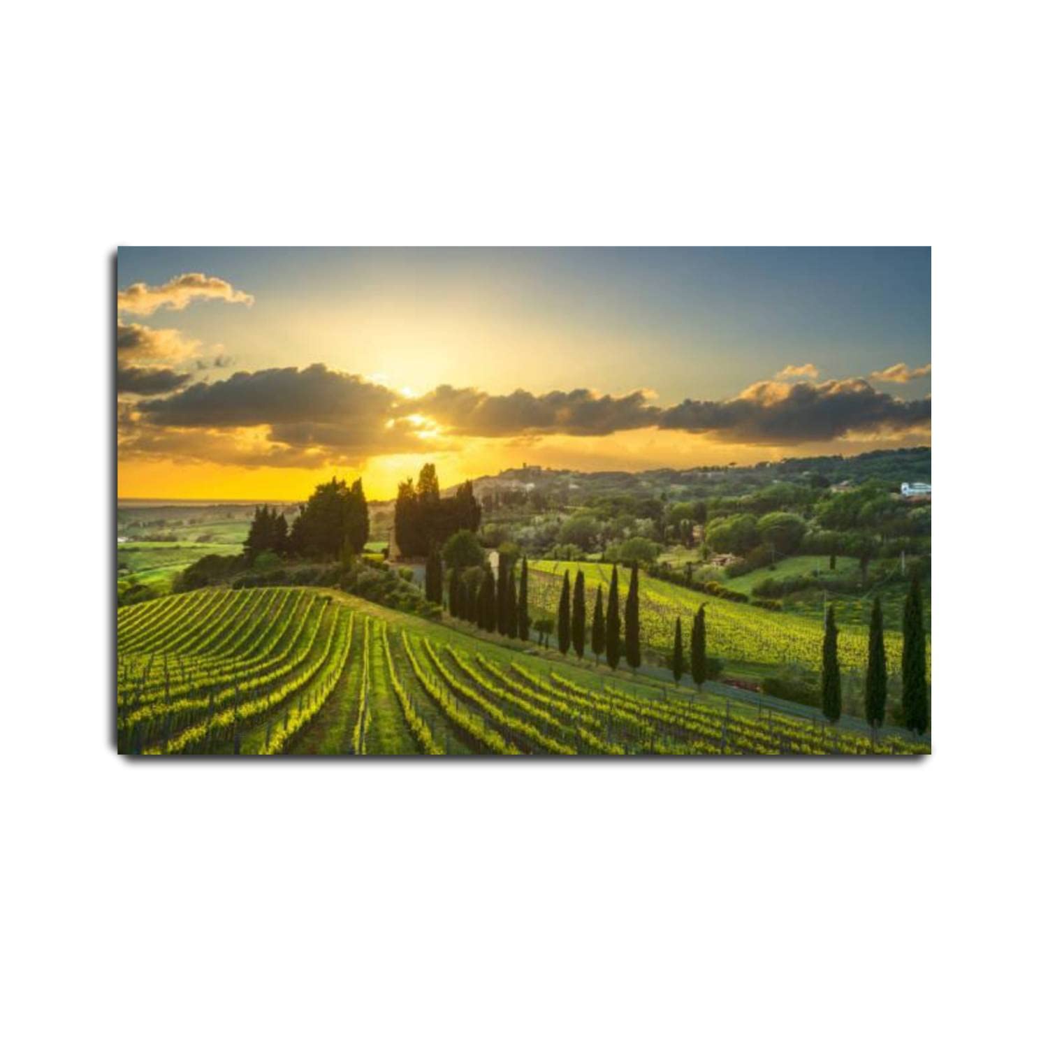 VIUBGCPS Canvas Print Pictures Wall Art Painting Casale Marittimo Village Vineyards and Landscape in Maremma Tuscany Framed & Stretched Posters Ready to Hang Home Decor Artworks - 20x32inch