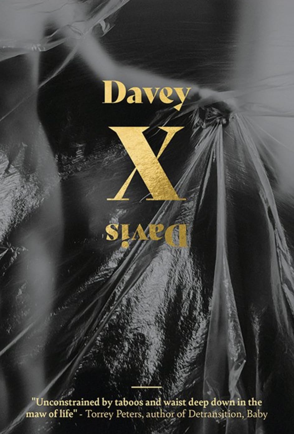 X by Davey Davis PAPERBACK 9781739784935