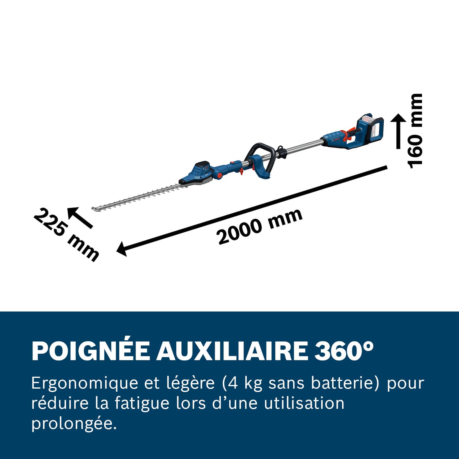 Bosch Pro Taille-haies sur perche sans-fil GHE18V-50 FP sans batt./chargeur