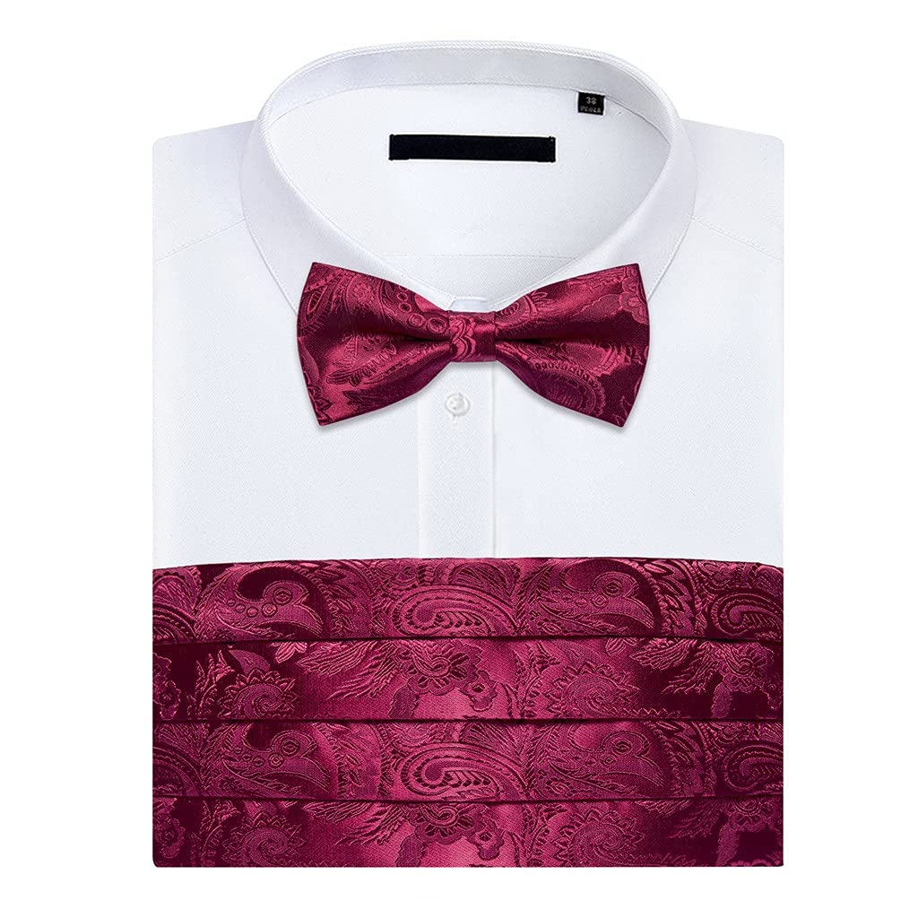 Ensembles Ceinture De Smoking Et Nœud Papillon Rouge Bordeaux, Motifs Assortis - France