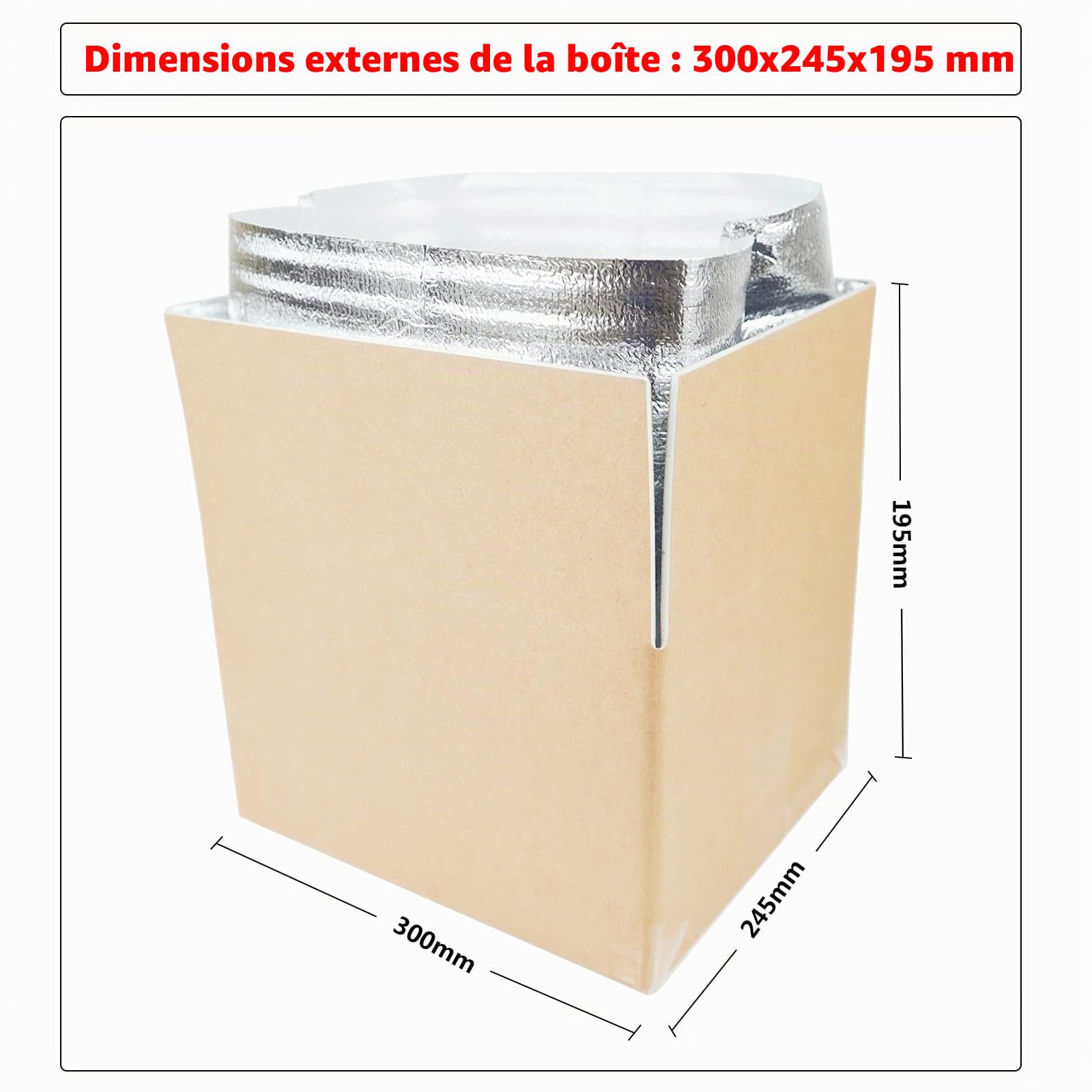 Thermo Chill Carton à double isolation avec doublure de sac isotherme en aluminium, boîte d'expédition réfrigérée pour aliments surgelés, envoi de colis, envoi postal 290x235x170 mm (5 pièces)