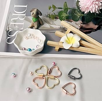 BAMI-LEE House 2 Pcs Titanium Locking Carabiner Titanium Alloy U-Shaped Key Chains Rings Buckles For Indoor Outdoor Use