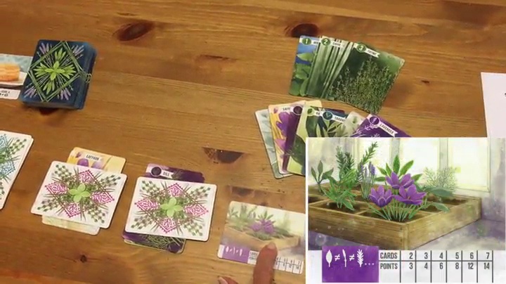 Herbaceous Card Game Review - The Tabletop Family - View #2