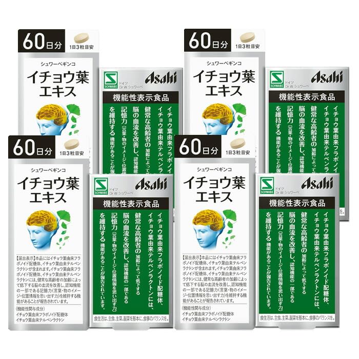 シュワーべギンコ イチョウ葉エキス 30日分3個セット 【公式通販】 シュワーべギンコ イチョウ葉エキス 30日分3個セット 【公式通販】