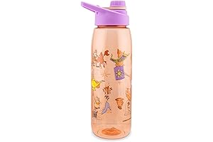 Disney Princess Icons 28 oz Tritan Water Bottle with Screw Top Lid