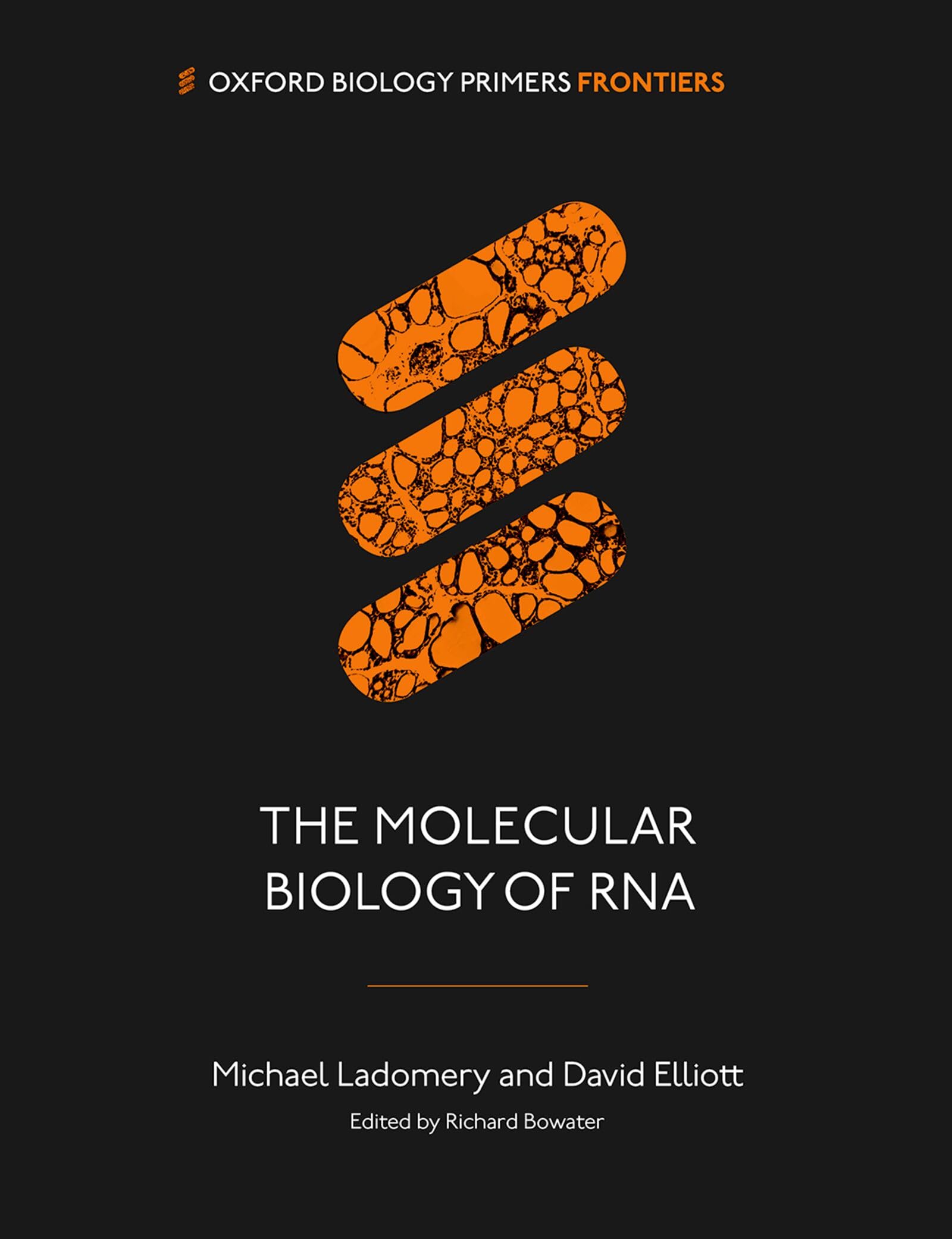 The Molecular Biology of RNA by Michael Ladomery, David Elliott - 9780192897350