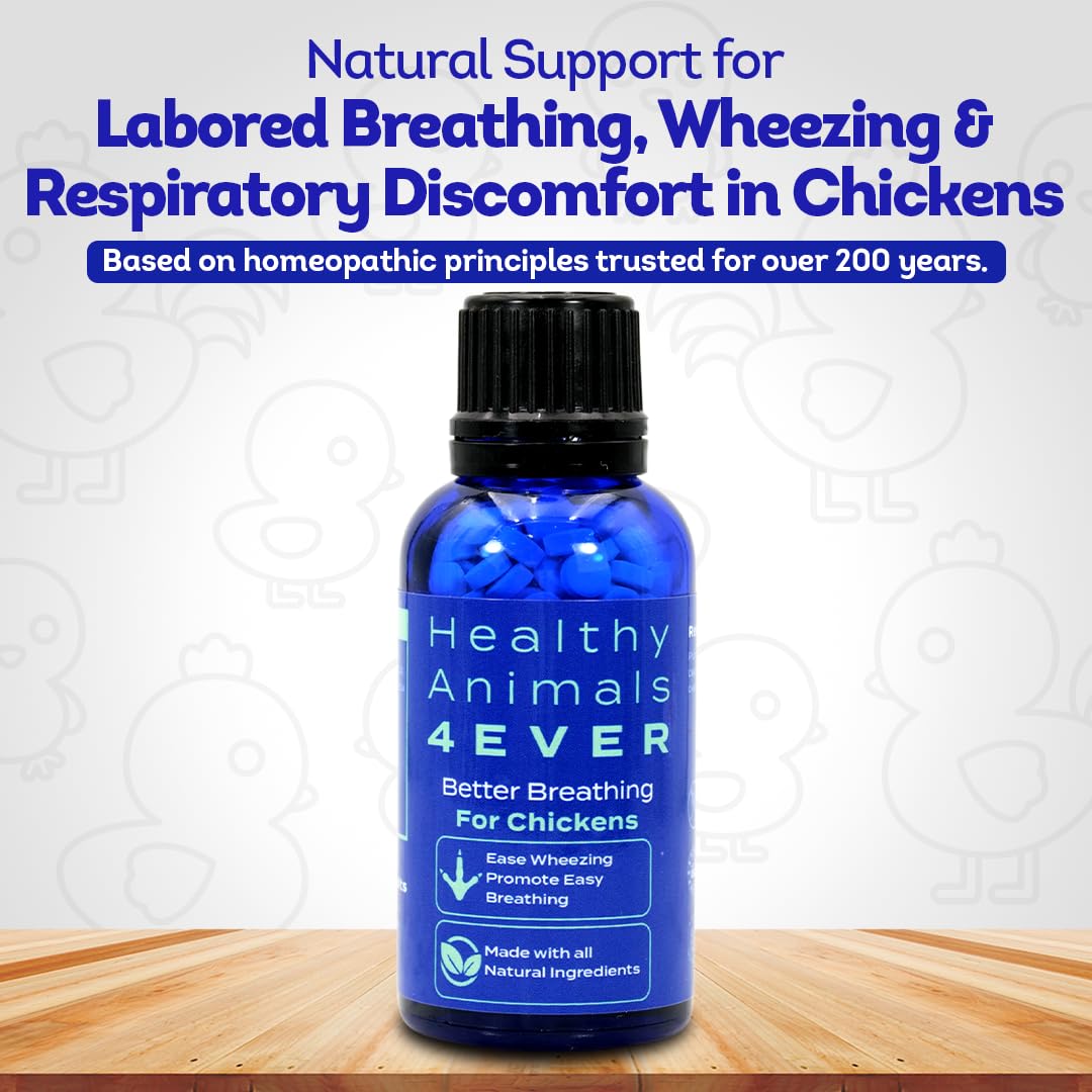 HealthyAnimals4Ever Suplemento respiratorio de pollo totalmente natural, ayuda respiratoria homeopática eficaz para pollos, 300 tabletas de apoyo respiratorio para pollos