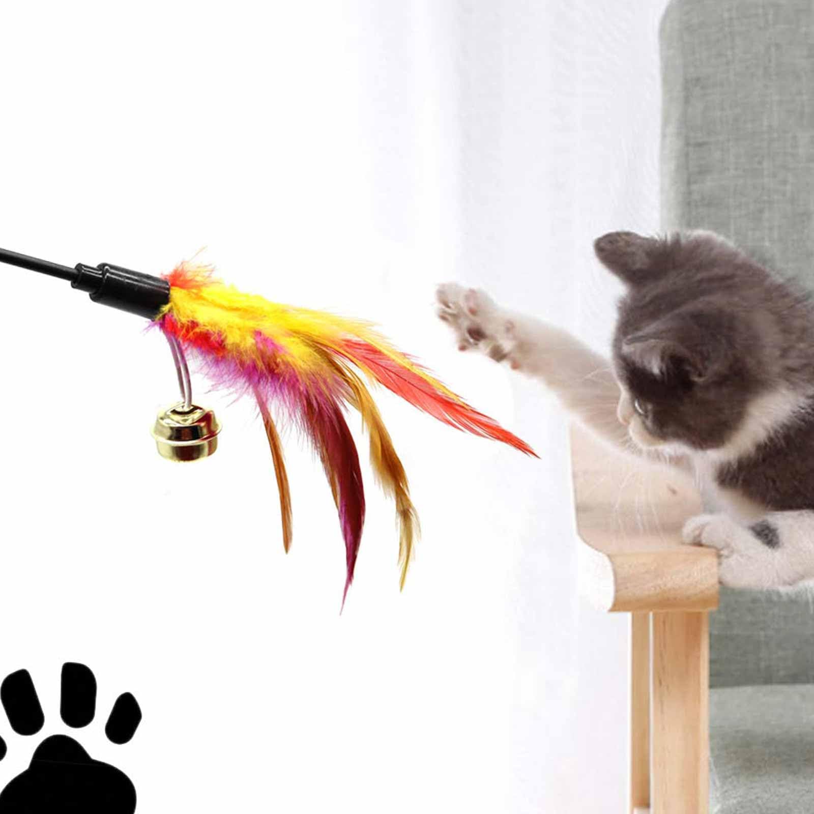 Set of 6 Feather Wands for Cats - Variable Colour - Coloured Feathers - for Cats and Kittens, Chroma - Image 3