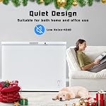 SMETA 10.6 Congélateur de poitrine de pieds cubiques, congélateur profond, 10.6 Cu ft Garage congélateur avec panier, faible bruit, thermostat réglable, économie d'énergie avec 4 Roues, Cuisine, Bureau, Viande, Maison, Blanc