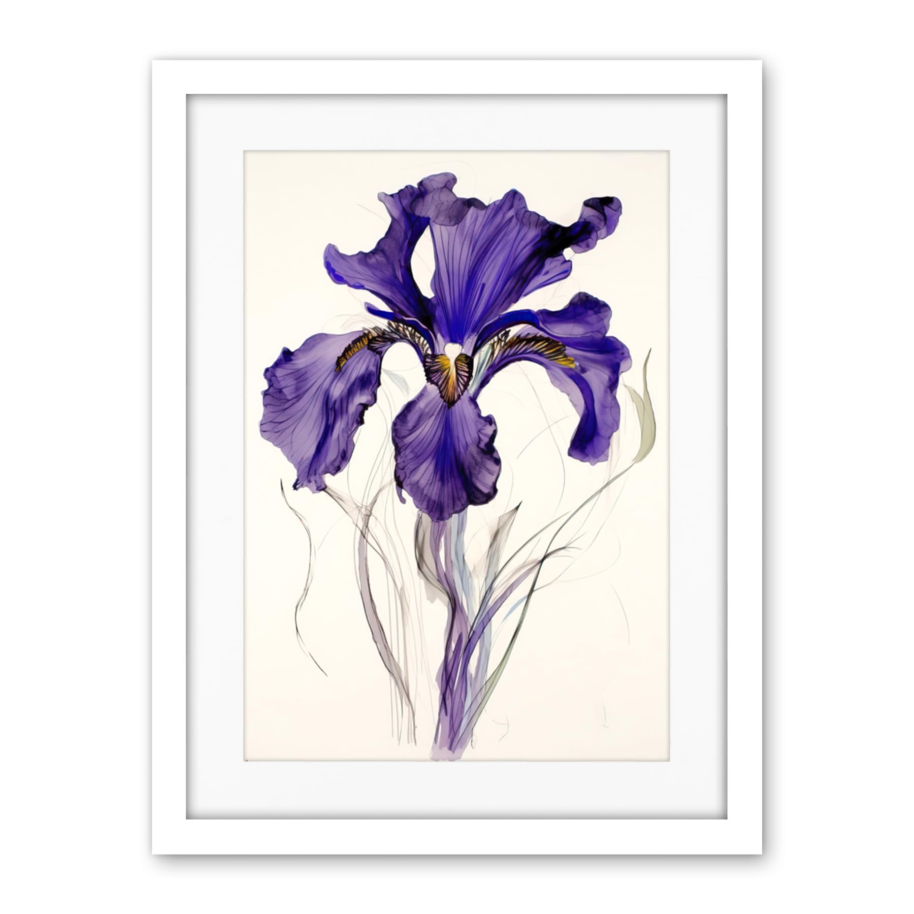 Artery8 Iris Reticulata Watercolour Flower Bloom Drawing Artwork Framed Wall Art Print 18X24 Inch