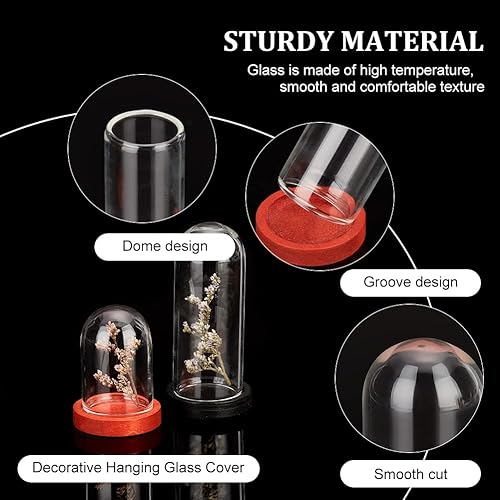 Miniatura 4 de NBEADS 12 mini cúpula de cristal, vitrina de cristal transparente con 3 colores de base de madera para flores, plantas, rocas, especímenes,