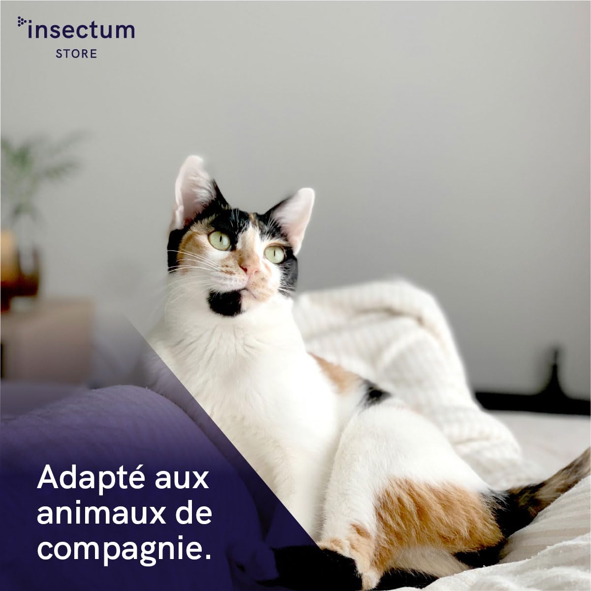 SMASH Spray Anti-Puces et Anti-Tiques pour Environnements et Tissus AMP 2 CL - Pour Utilisation à Domicile et en Extérieur - 2x500ml - Insecticide Sans Perméthrine