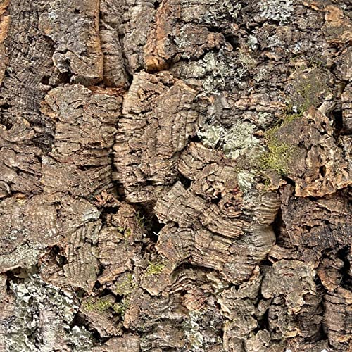 EKB-Kork Rückwand Kamari Zierkork für Terrarien (300 x 300 mm)