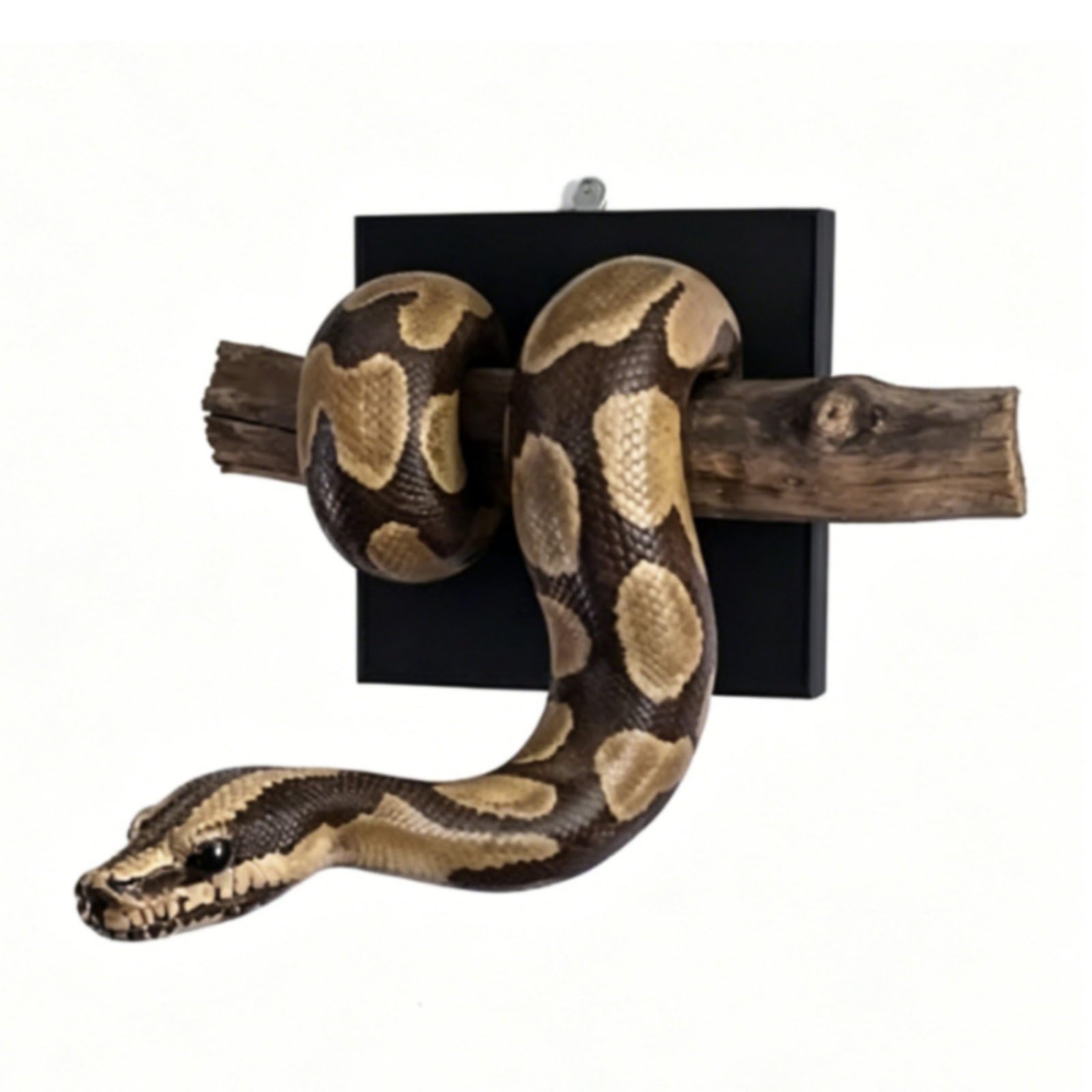 Sculpture murale python pour habiller un mur vide avec un effet vif