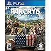 Far Cry 5 - PlayStation 4 Standard Edition