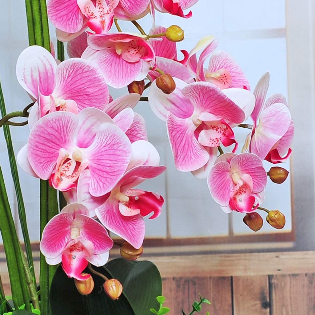 Orchidea Artificiale Phalaenopsis In Vaso Ceramica Bianca - Pianta Finta In Seta Per Decorazione Casa, Regalo (Altezza 47 Cm)