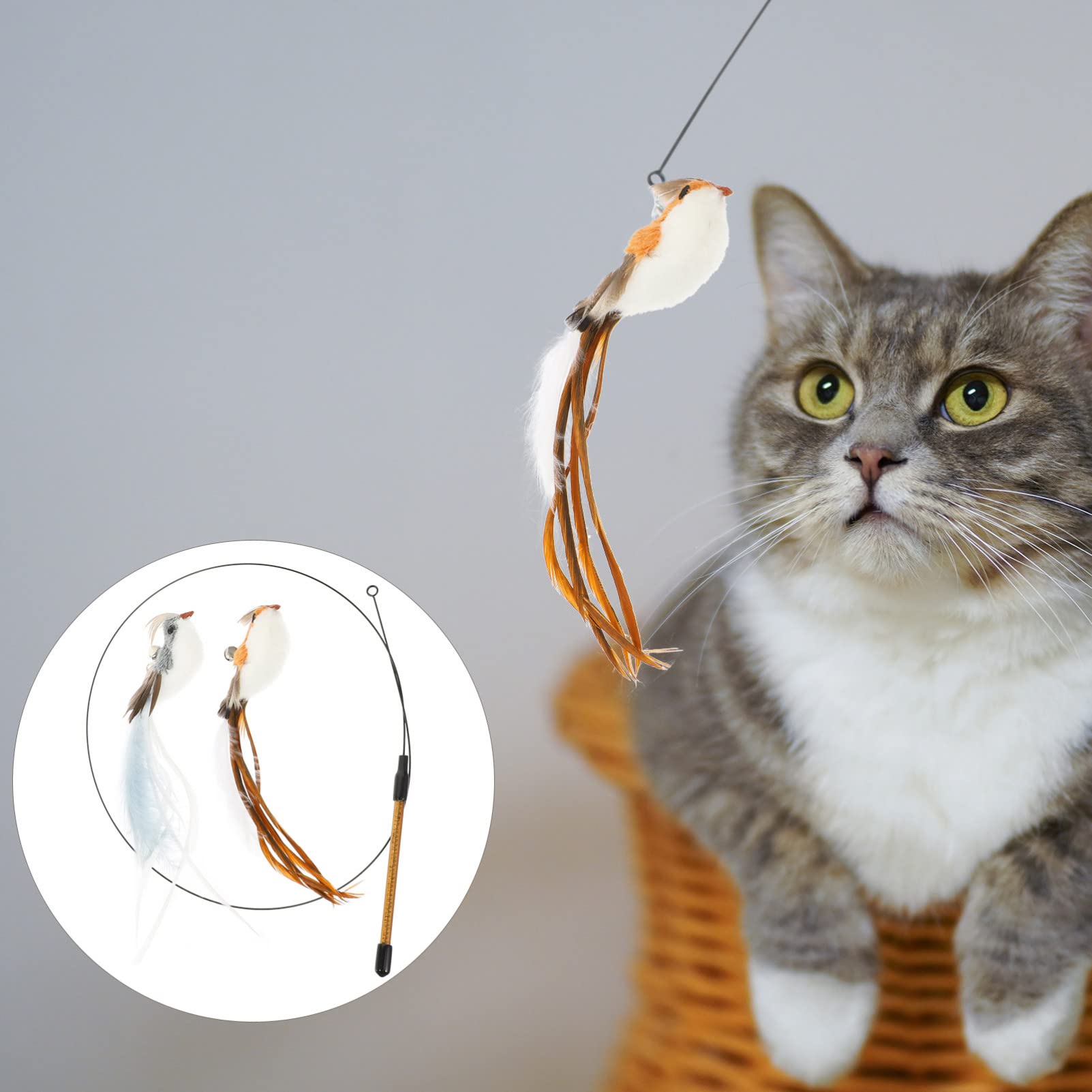 DOITOOL 1ensemble à Chat Interactive avec Recharges Plumes De Têtes De Jeu pour Instinct De Chasse des Félins Intérieur