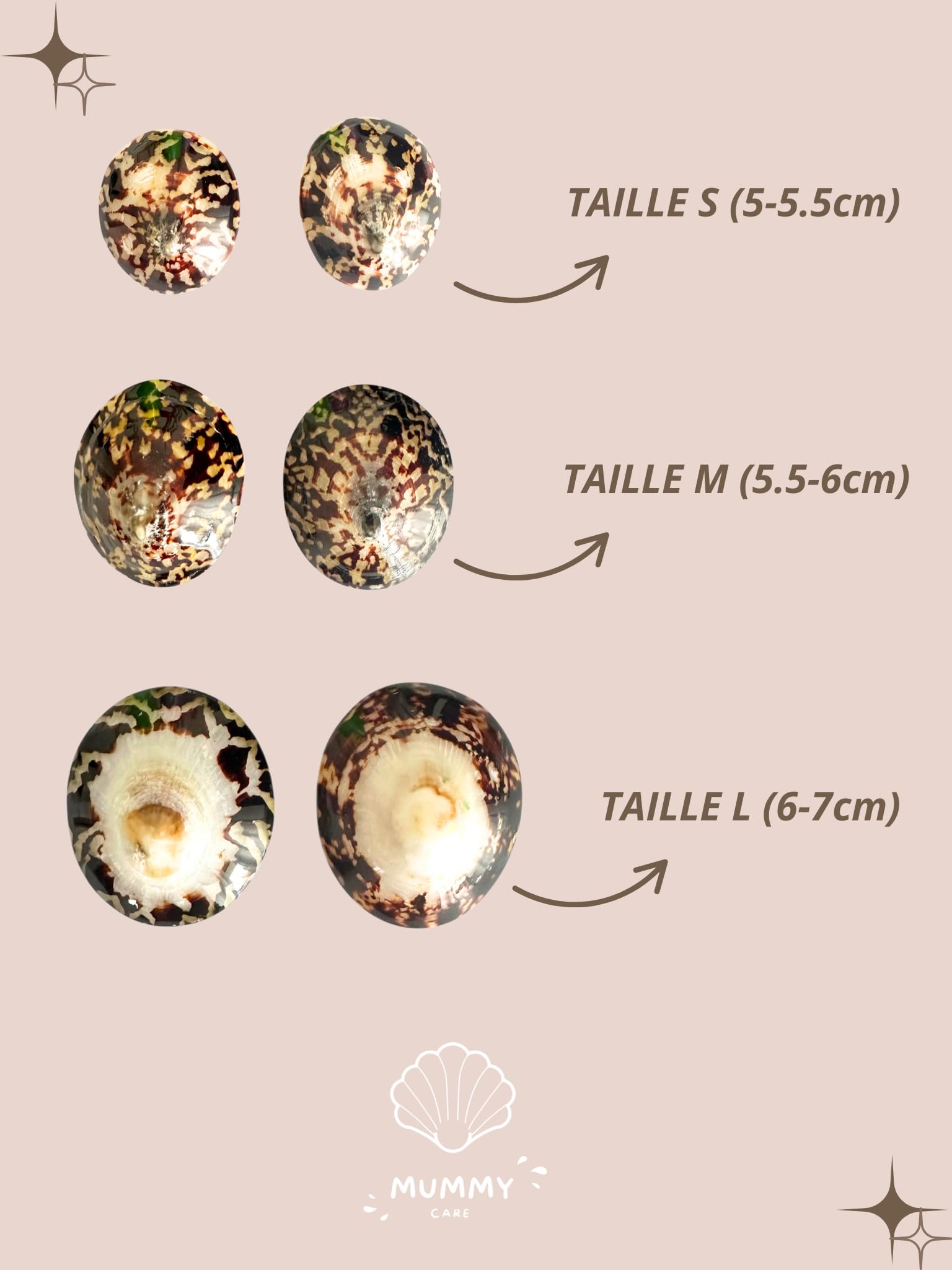 Coquillages d’Allaitement en Nacre Naturelle - Lot de 2 Coquillages pour Prévenir les Crevasses et Irritations - Solution Naturelle et Écologique pour les Mamans – Taille M (5,5-6 cm)