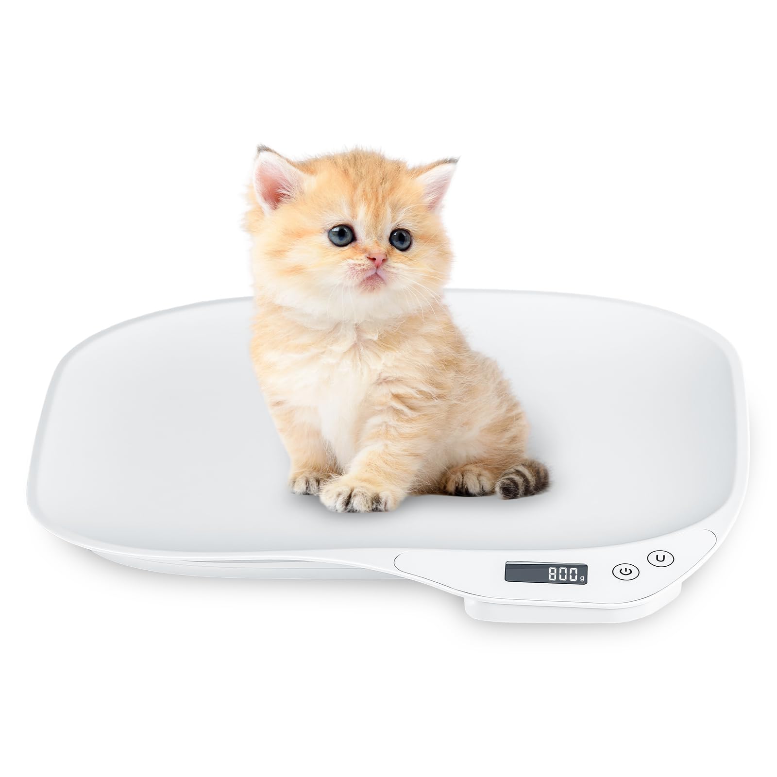 Zevrang Digital Pet Scale, Weighing Scales up to 15 Kg for Puppy