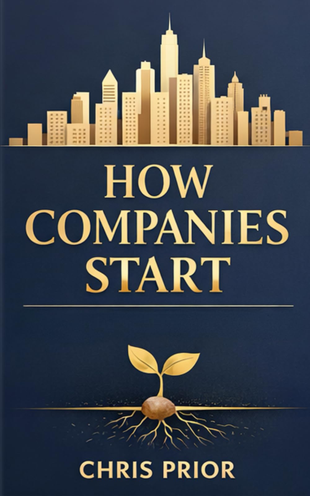How Companies Start