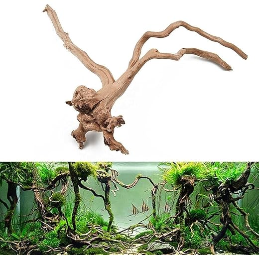 Natural Driftwood Aquarium Decoration 5-8 inches